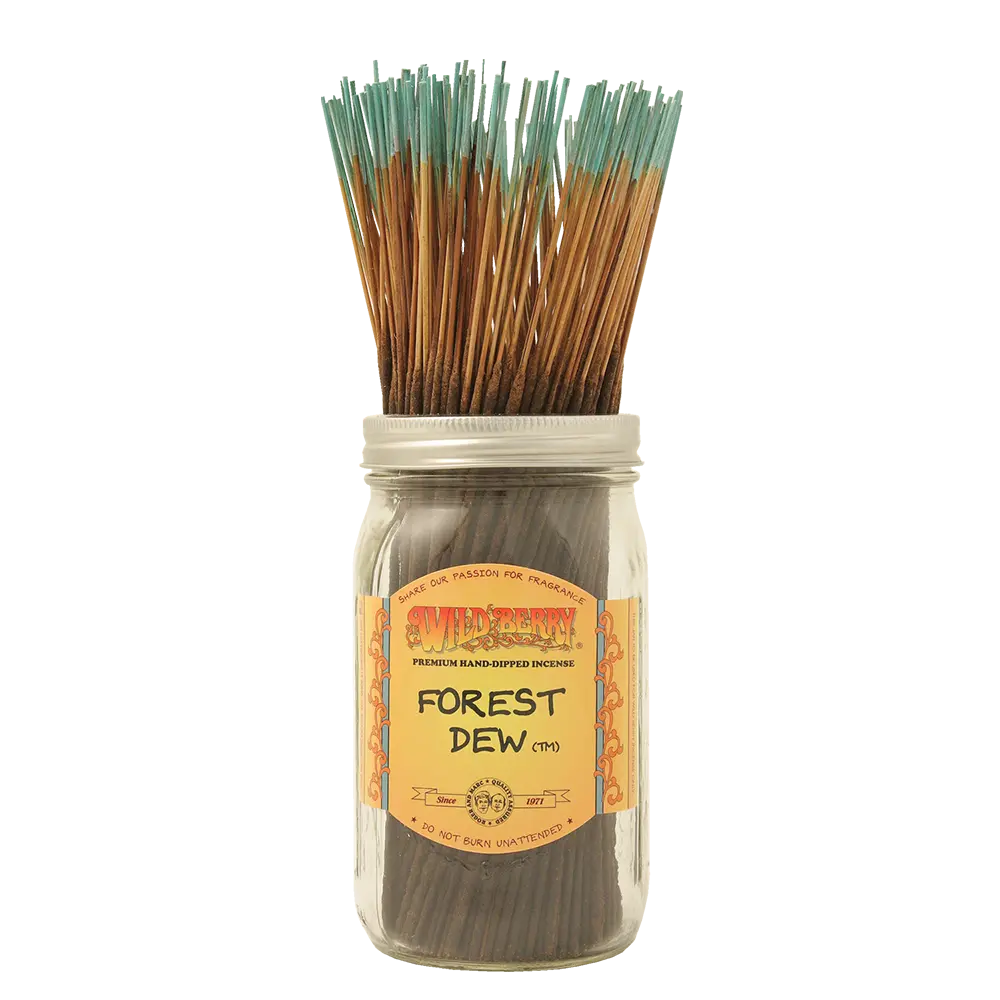 [Q-4056-41] WILD BERRY 100 INCENSE STICKS (Forest Dew)