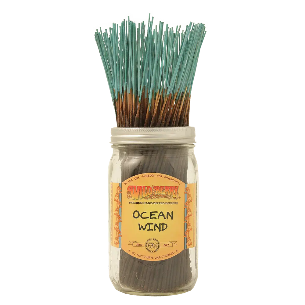 [Q-4056-75] WILD BERRY 100 INCENSE STICKS (Ocean Wind)