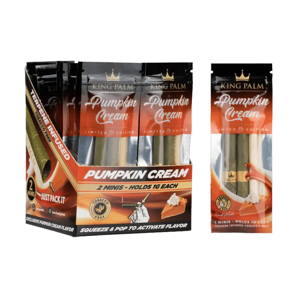 [Q-4546-04] KING PALM CONES MINI 2PK 20CT  (PUMPKIN CREAM)