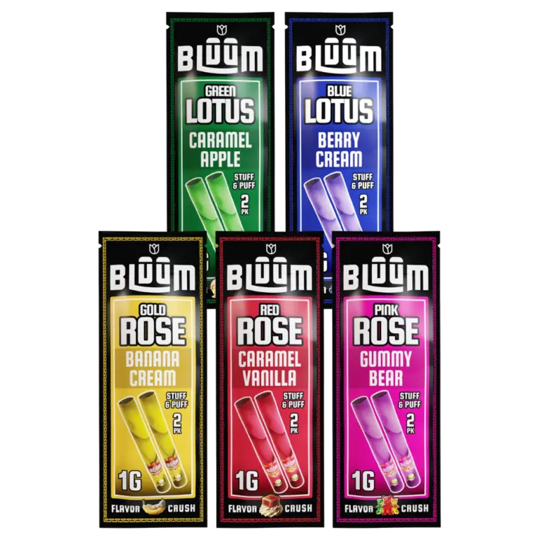 [Q-4747-05] KING PALM BLUUM 1G 2PK 10PC DISPLAY (BERRY CREAM)